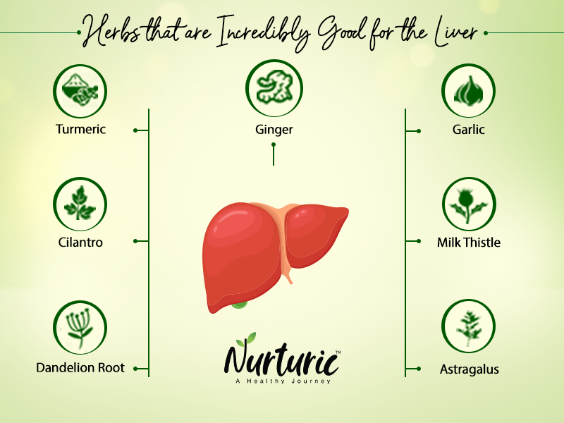 Herbs for liver