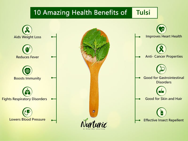 Top 10 Health Benefits of Tulsi