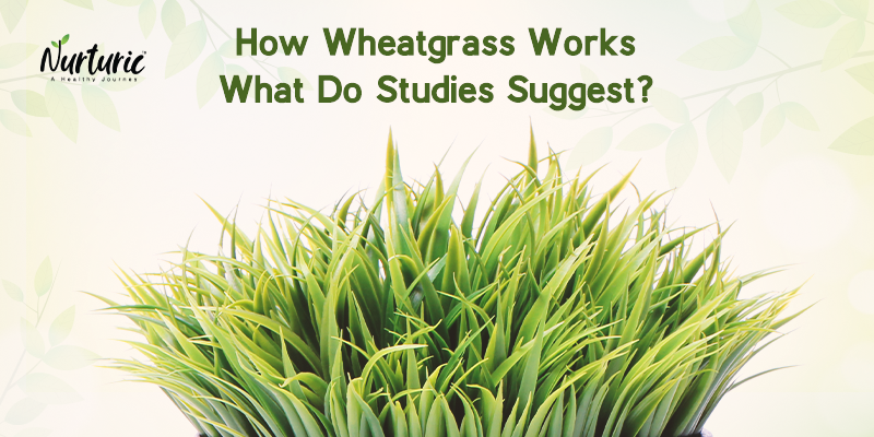 A Study on Wheatgrass and its Nutritional value