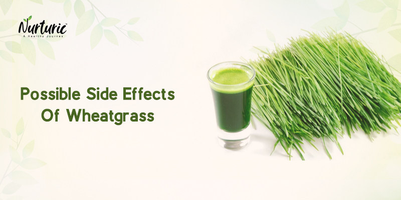 What are the possible side effects of Wheatgrass?