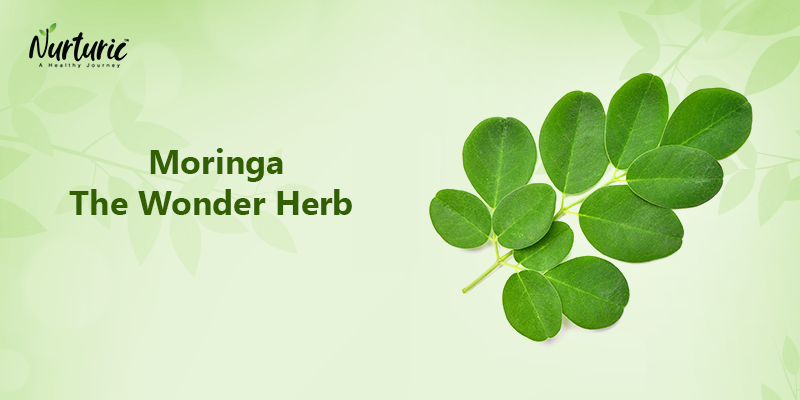 What is moringa and why do you need it?