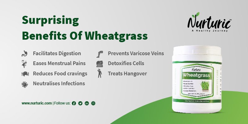 What are the benefits of wheatgrass