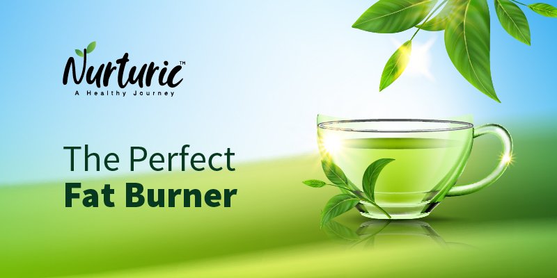 Does green tea help you in burning fat