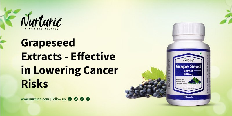 How Grapeseed helps in preventing cancer