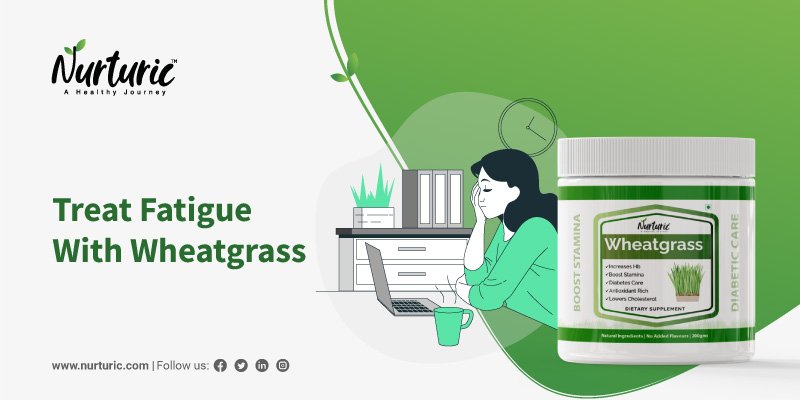 How wheatgrass helps in treating fatigue